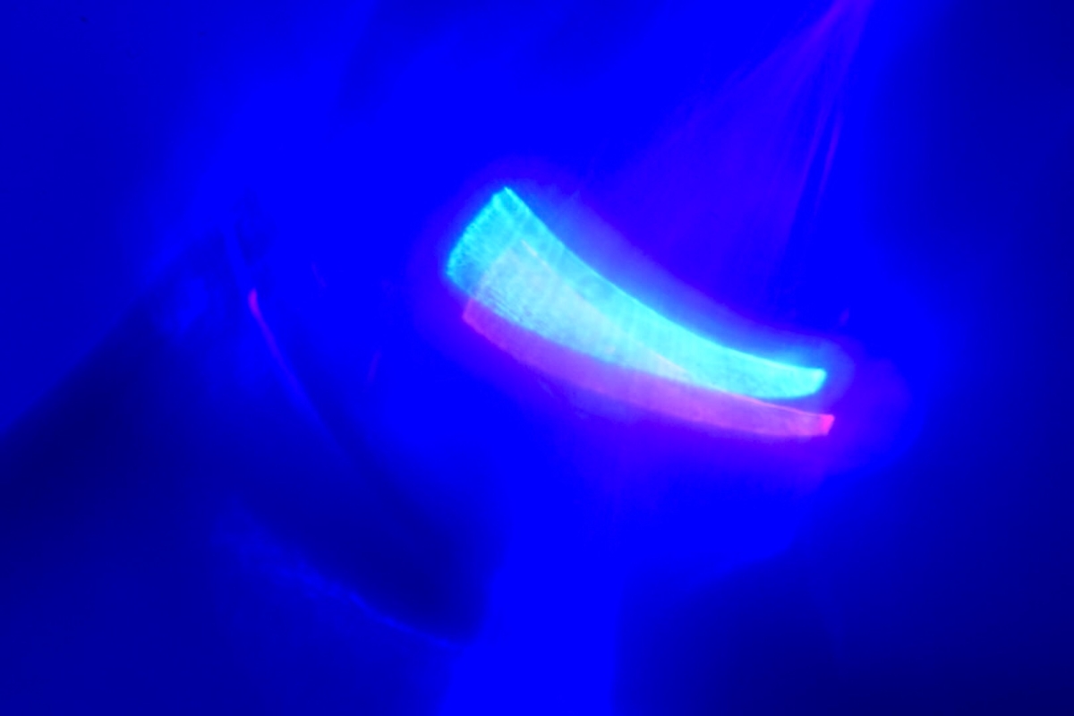 FullSizeRender - 2022-11-25T141345.067