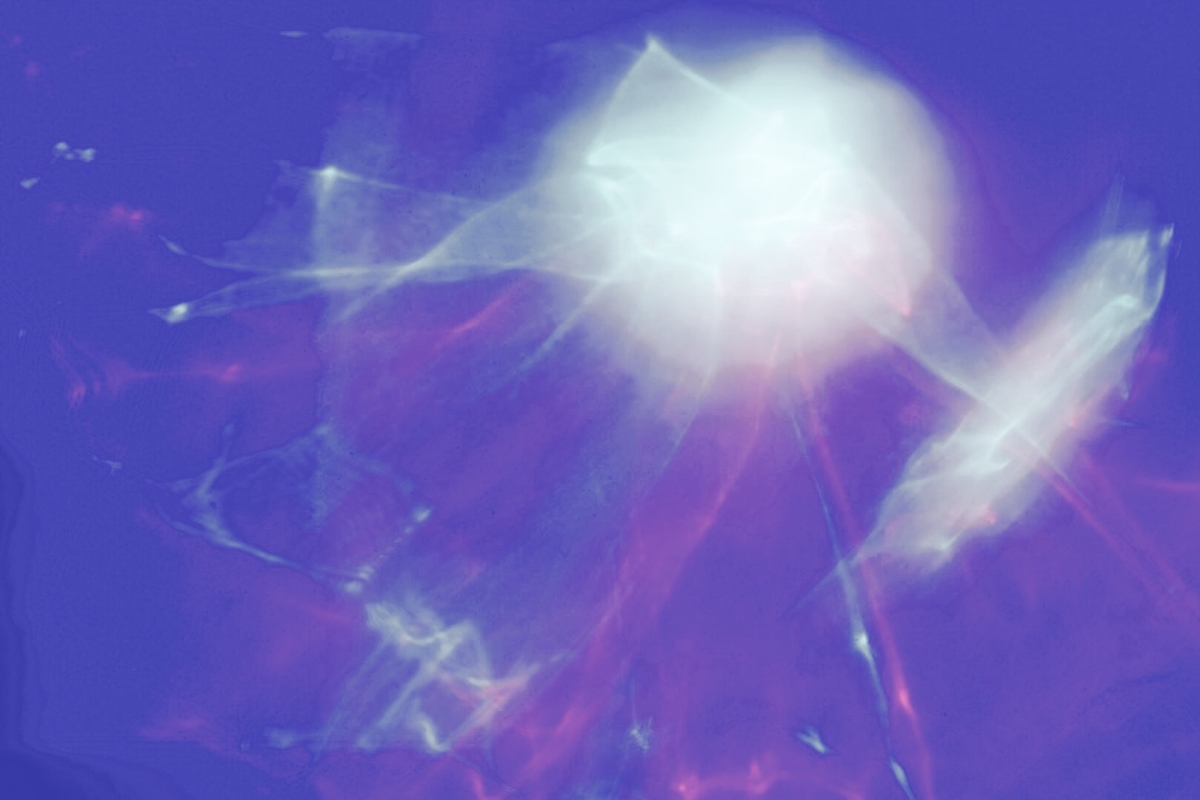 FullSizeRender - 2022-11-25T141352.395