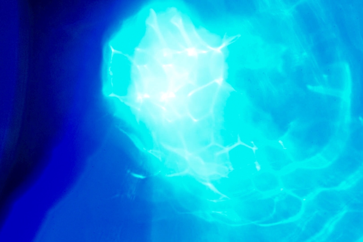 FullSizeRender - 2022-11-26T201337.532