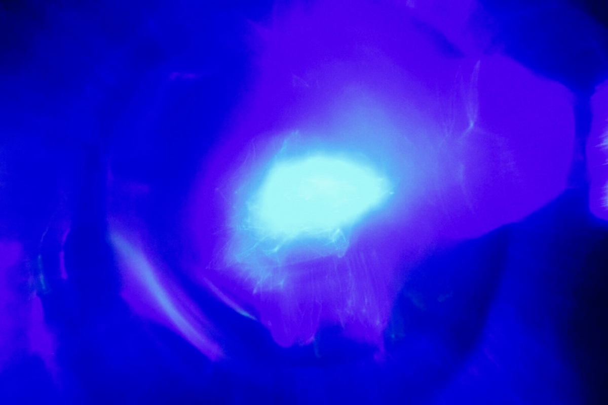 FullSizeRender - 2022-11-27T090933.375