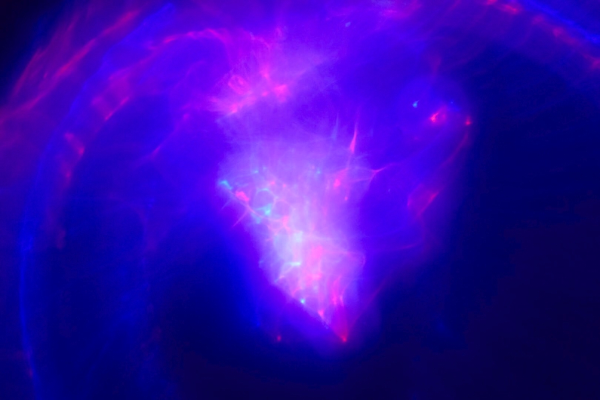 FullSizeRender - 2022-11-27T150511.429